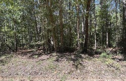 1603 CR 39, PAULDING, MS 39348