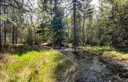565 Chickadee Lane, Victor, MT 59875