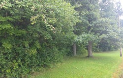 5205 County Road 9, Edison, OH 43320