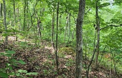ID22 Lakeview Trail, HOLLADAY, TN 38341