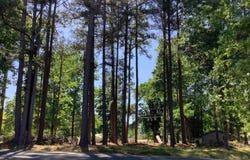 530 Marina Way, Prosperity, SC 29127-0000
