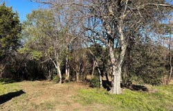 161 CR 1734, Clifton, TX 76634