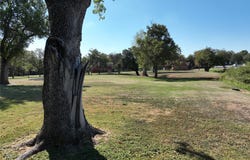 908 N Austin St, Comanche, TX 76442