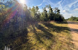 5954 Neumann Road, Lewiston, MI 49756