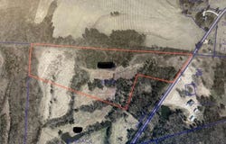 HIGHWAY 195, Williston, TN 38076