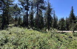 White Cloud Drive lot: 6, Sandpoint, ID 83864