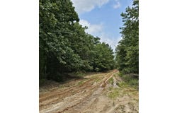 Cristine St, Blossom, TX 75416