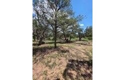 3 Deer Run Trail, Pie Town, NM 87827