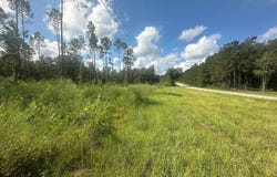 FM 1005, Jasper, TX 75951