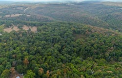 655 Rustic Acres Road, Kirbyville, MO 65679