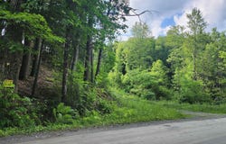 Spencer Hollow Road, Springfield, VT 05156
