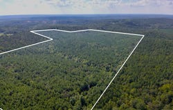 County Rd 369, Double Springs, AL 35553