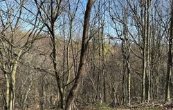 Parc 031 Glory Ridge Road, Shunk, PA 17768