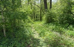 226th, McGregor, MN 56431