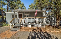 3491 DEER TRACK Trail, Overgaard, AZ 85933