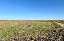 County Road J, Brewster, KS 67732