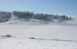 1283 Kitzmiller, Pullman, WA 99163