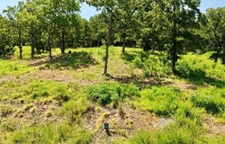 240 Patriot Pointe, Eufaula, OK 74432