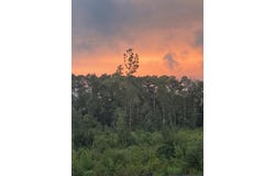 Yaremich Road, Moncks Corner, SC 29461