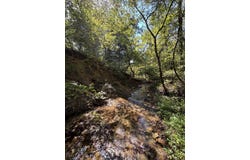 County Road 114, Ava, MO 65608