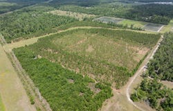 199TH PL E SIDE), Live Oak, FL 32060