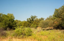 TBD County Road 340, Aspermont, TX 79528