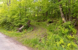 1361 Weaver Hollow Road, Andes, NY 13731