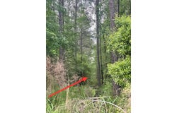 Highway 176, Moncks Corner, SC 29461