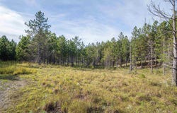 3 Crosscut Way, Davis, WV 26260