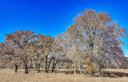 TBD State Highway 71, La Grange, TX 78945