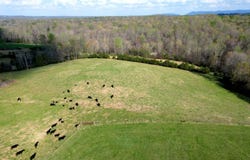 301 Scruggs Rd, Moneta, VA 24121
