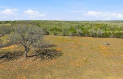 New Moon Ct, Red Rock, TX 78662