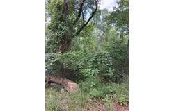 Dogwood Drive, Murchison, TX 75778
