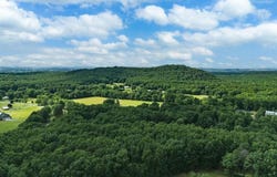 TBD CALF MOUNTAIN RD, Waynesboro, VA 22980