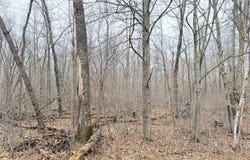28 7/8 Avenue lot: 20, Birchwood, WI 54817