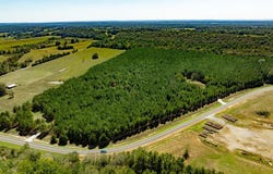 Hwy. 31, Romance, AR 72136-0000