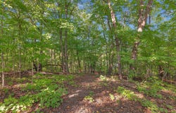 12814 Juniper Road, Saint Joseph, MN 56374