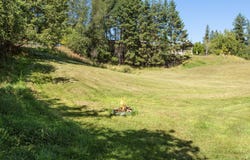 1037 Park Avenue, Whitefish, MT 59937