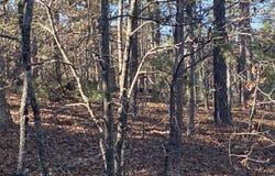 924 Quail Way, Dolph, AR 72531