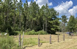 644 Case Rd, Slocomb, AL 36375