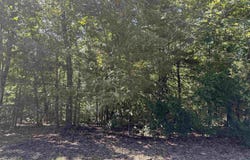 Hwy 87, Mountain View, AR 72560