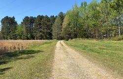 11338 Monterey Rd, Eads, TN 38028