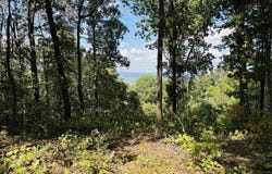 4520 Iron Mountain Road, Mountain View, AR 72560