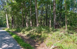 County Road 13, Ray, OH 45672