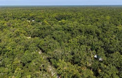 23156 Nutall Rise, Perry, FL 32347