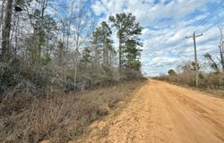 1718 Palmview Road, Cottondale, FL 32431