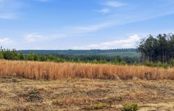 Longview Ridge lot: 6, Dunlap, TN 37327