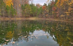 Bob Cat Trail, Dunlap, TN 37327