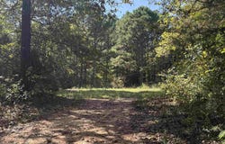 196 Gorby Road, Calico Rock, AR 72519