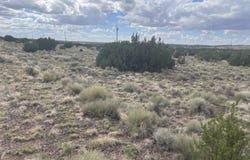 03 Aspen Drive, Concho, AZ 85924